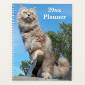 British Longhair Cat Yarly Planner (Voorkant)