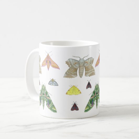 British Moths Mok (Voorkant links)