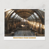 British Natural History Museum in Londen Engeland Briefkaart (Voorkant)