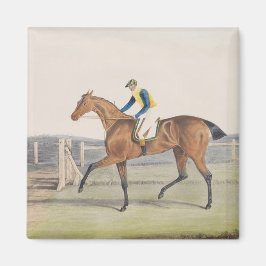 British Racehorse (The Duchess) Magneet