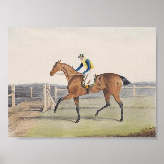 British Racehorse (The Duchess) Poster (Voorkant)