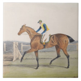 British Racehorse (The Duchess) Tegeltje