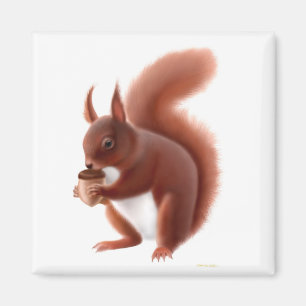 British Red Squirrel Magnet