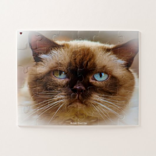 British Short Hair Legpuzzel (Horizontaal)