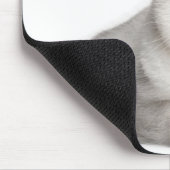 British Shorthair (2 jaar oud) die vooraan ligt Muismat (Hoek)