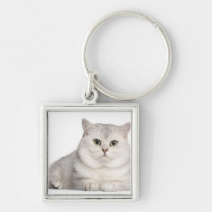 British Shorthair (2 jaar oud) die vooraan ligt Sleutelhanger