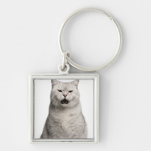 British Shorthair (4 jaar) Sleutelhanger (Voorkant)