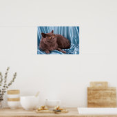 British Shorthair, blauw Poster (Keuken)