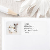 British Shorthair & Bunny | ABSTRACT | WATERVERF Etiket (Insitu)