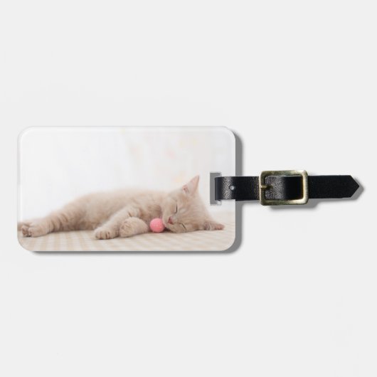 British Shorthair Cat Bagagelabel (Voorkant horizontaal)