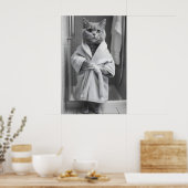 British Shorthair Cat Bathrobe Print, Funny Poster (Keuken)
