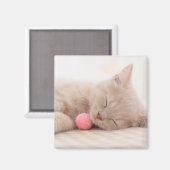 British Shorthair Cat Magneet (Voorkant / Achterkant)