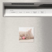 British Shorthair Cat Magneet (Insitu (Vaatwasser))