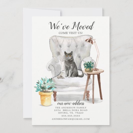 British Shorthair Cat Moving Announement Aankondiging (Voorkant)