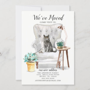 British Shorthair Cat Moving Announement Aankondiging
