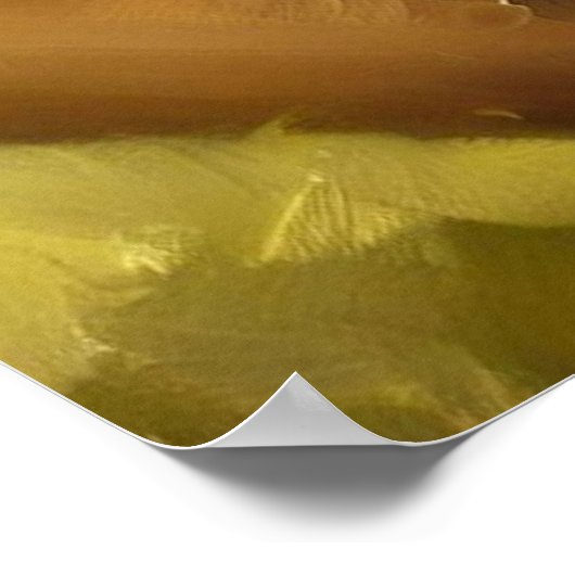 British Shorthair Cat Poster (Hoek)