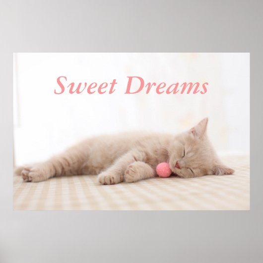 British Shorthair Cat Poster (Voorkant)