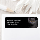 British Shorthair Cat Return Label (Insitu)