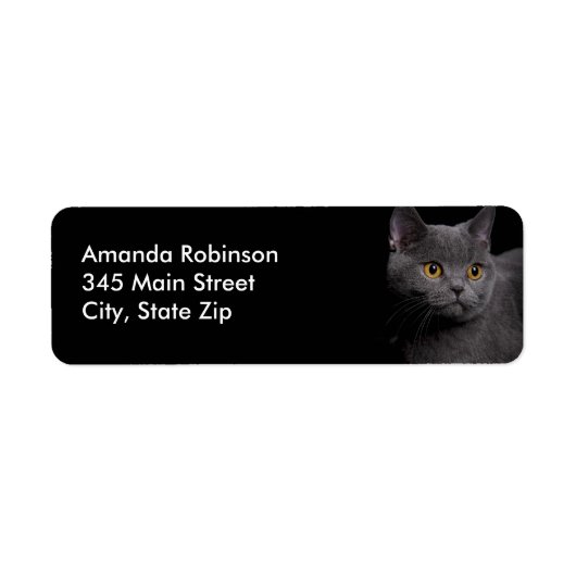 British Shorthair Cat Return Label (Voorkant)