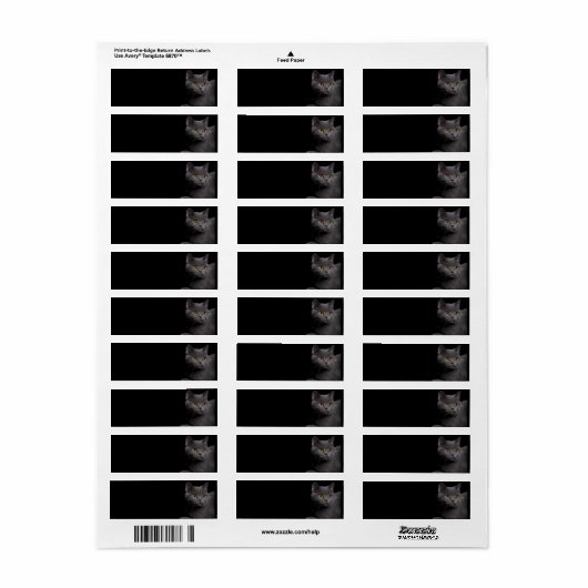 British Shorthair Cat Return Label (Full Sheet)
