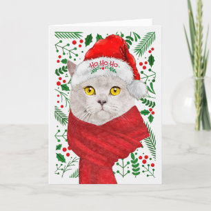 British Shorthair Cat Santa Hat Meowy Kerstmis Feestdagen Kaart