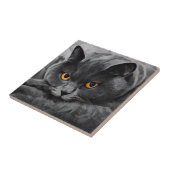 British Shorthair Cat Tegeltje (Zijkant)