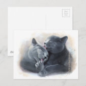 British Shorthair cats Briefkaart (Voorkant / Achterkant)