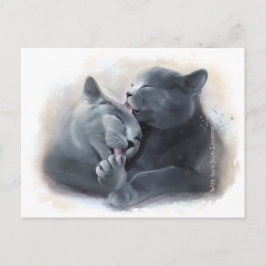 British Shorthair cats Briefkaart