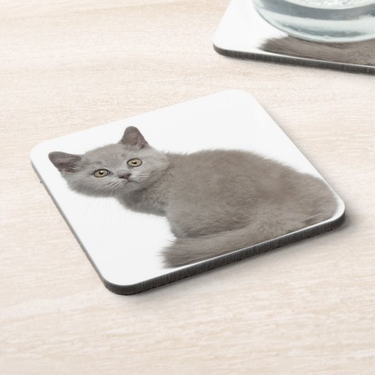 British Shorthair Kitten (10 weken oud) Drankjes Onderzetter (Linkerzijde)