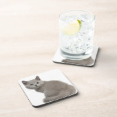 British Shorthair Kitten (10 weken oud) Drankjes Onderzetter (Rechterzijde)