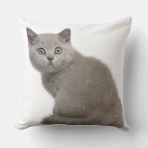 British Shorthair Kitten (10 weken oud) Kussen