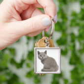 British Shorthair Kitten (10 weken oud) Sleutelhanger (Hand)