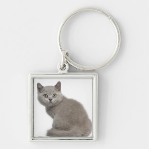 British Shorthair Kitten (10 weken oud) Sleutelhanger