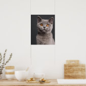 British Shorthair kitten (3 maanden oud) Poster (Keuken)