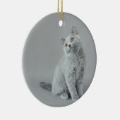 British shorthair kitten keramisch ornament (Rechts)