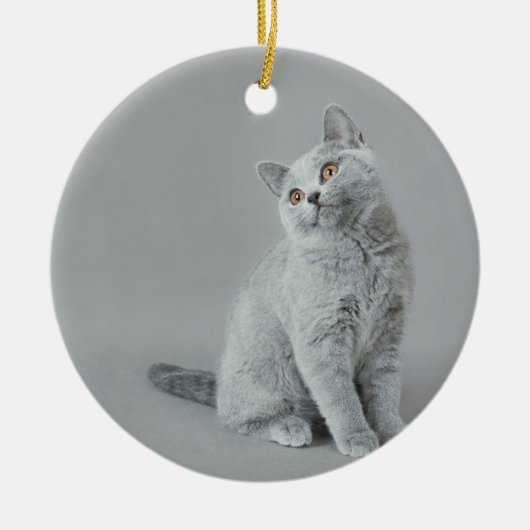British shorthair kitten keramisch ornament (Voorkant)