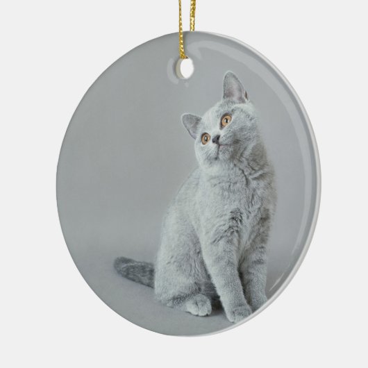 British shorthair kitten keramisch ornament (Links)