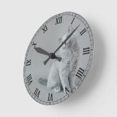 British shorthair kitten ronde klok (Hoek)