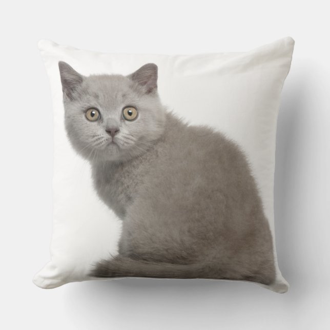 British Shorthair Kitten (tien weken oud) Kussen (Voorkant)