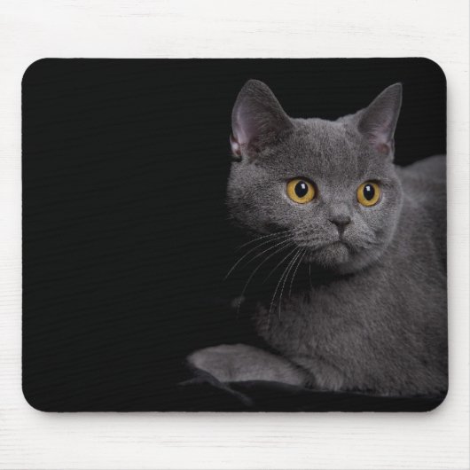 British Shorthair Mousepad Muismat (Voorkant)