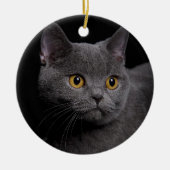 British Shorthair Ornament (Voorkant)