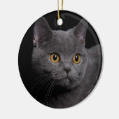 British Shorthair Ornament (Links)