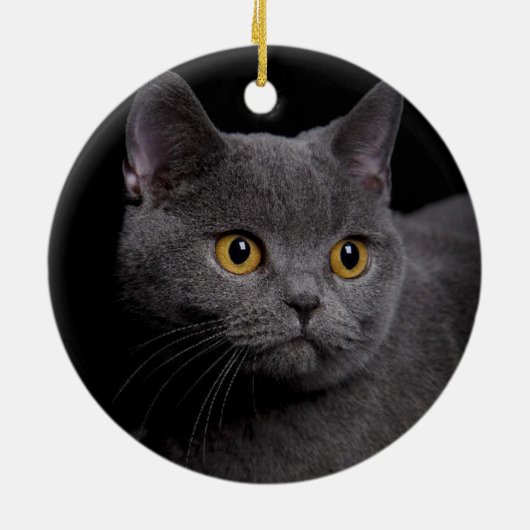 British Shorthair Ornament (Achterkant)