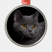 British Shorthair Premium Ornament (Voorkant)