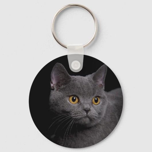 British Shorthair Sleutelhanger (Voorkant)
