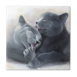 British Shorthair Tegeltje