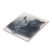 British Shorthair Tegeltje (Zijkant)