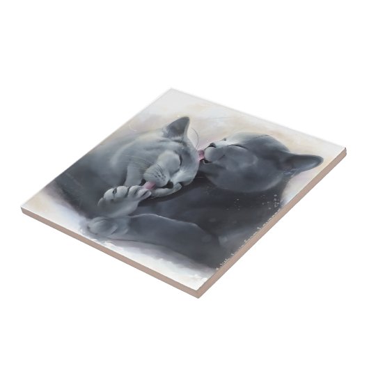 British Shorthair Tegeltje (Zijkant)