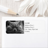 British Shorthair | Zwart-wit | Kat Portrait Etiket (Insitu)