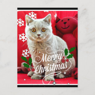 British Shorthaired Cat, kerstcadeautjes Briefkaart